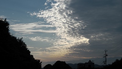 IMGA0577.2018.5.13.jpg