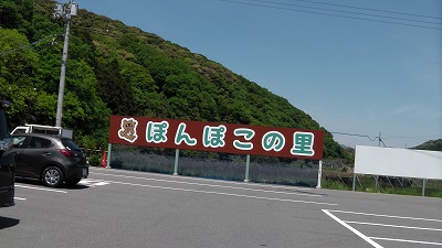 IMGA0554.2018.5.11.jpg