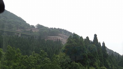 IMGA0639.2018.5.17.jpg