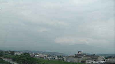 IMGA0644.2018.5.17.jpg