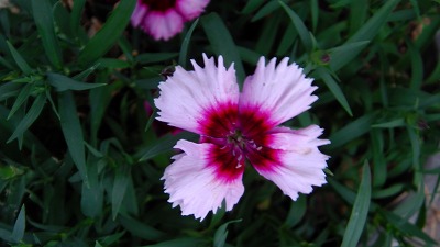 IMGA0594.2018.5.14.jpg
