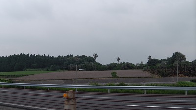 IMGA0651.2018.5.17.jpg