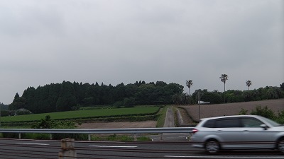 IMGA0652.2018.5.17.jpg