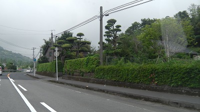 IMGA0701.2018.5.18.jpg