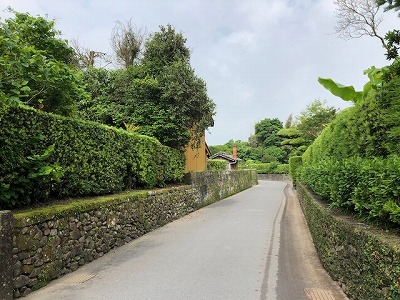 IMG_0405.2018.5.18.jpg