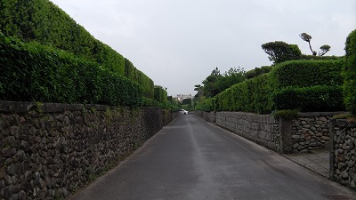 IMGA0713.2018.5.18.jpg