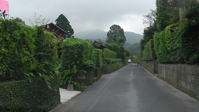 IMGA0716.2018.5.18.jpg