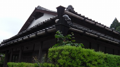 IMGA0720.2018.5.18.jpg