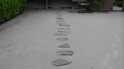 IMGA0721.2018.5.18.jpg