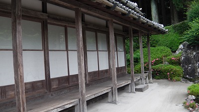 IMGA0722.2018.5.18.jpg