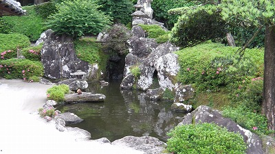 IMGA0723.2018.5.18.jpg