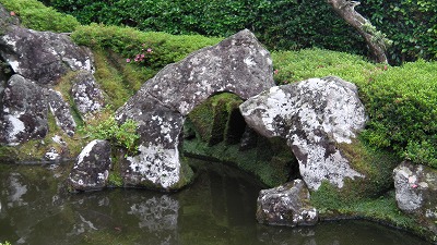 IMGA0724.2018.5.18.jpg
