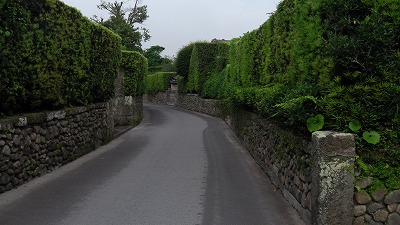 IMGA0731.2018.5.18.jpg