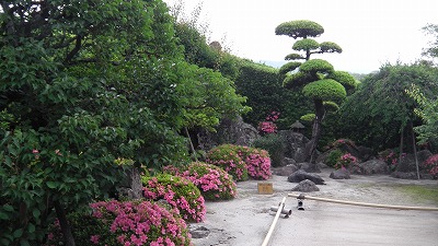 IMGA0740.2018.5.18.jpg