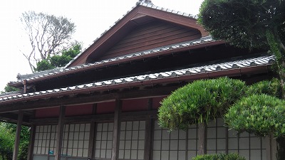 IMGA0741.2018.5.18.jpg