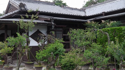 IMGA0745.2018.5.18.jpg