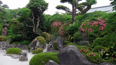 IMGA0746.2018.5.18.jpg