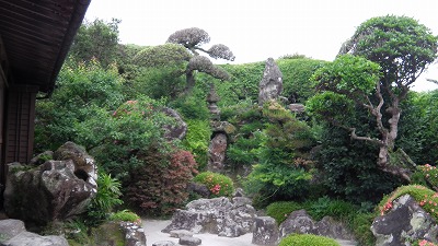 IMGA0747.2018.5.18.jpg