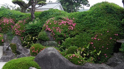 IMGA0748.2018.5.18.jpg