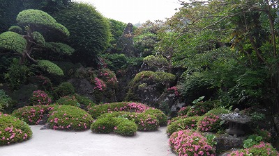 IMGA0751.2018.5.18.jpg
