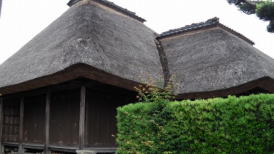 IMGA0757.2018.5.18.jpg