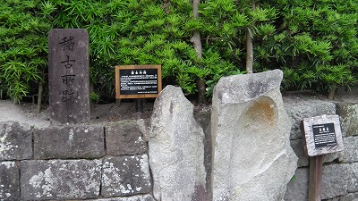 IMGA0760.2018.5.18.jpg
