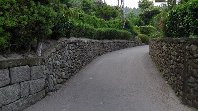 IMGA0762.2018.5.18.jpg