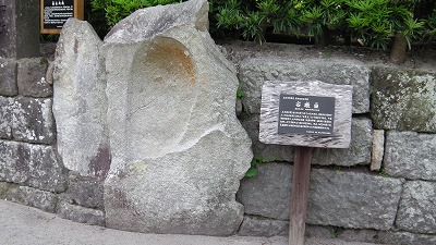 IMGA0763.2018.5.18.jpg