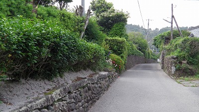 IMGA0764.2018.5.18.jpg