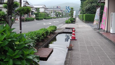IMGA0769.2018.5.18.jpg