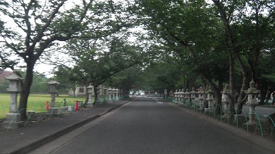 IMGA0789.2018.5.18.jpg