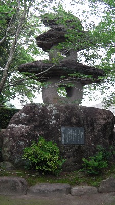 IMGA0809.2018.5.18.jpg