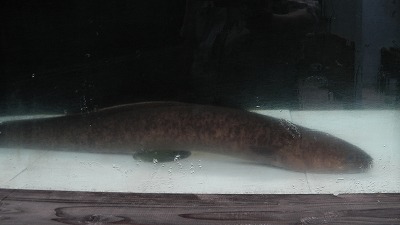 IMGA0864.2018.5.18.jpg