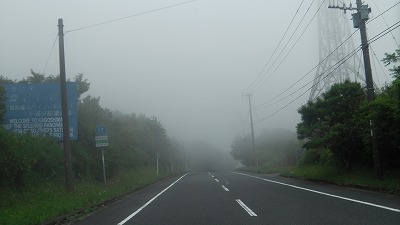 IMGA0844.2018.5.18.jpg