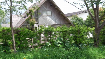 IMGA0894.2018.5.18.jpg