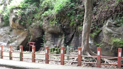 IMGA0898.2018.5.18.jpg