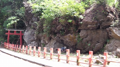 IMGA0900.2018.5.18.jpg