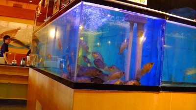 IMGA0659.2018.5.17.jpg