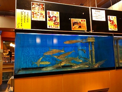IMG_0429.2018.5.19.jpg