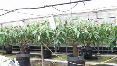 IMGA0930.2018.5.18.jpg
