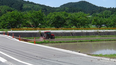 IMGA0172.2018.5.24.jpg