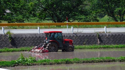 IMGA0173.2018.5.24.jpg