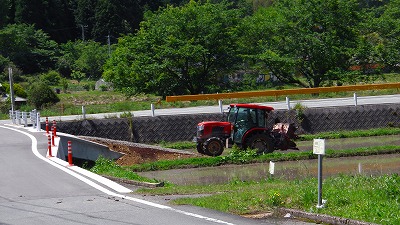IMGA0176.2018.5.24.jpg