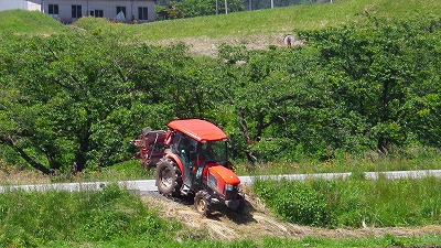 IMGA0177.2018.5.24.jpg