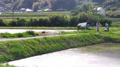 IMGA0224.2018.5.24.jpg