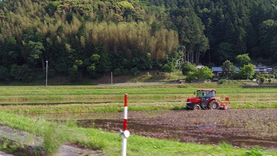 IMGA0233.2018.5.24.jpg