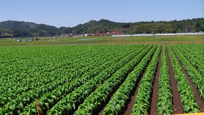 IMGA0171.2018.5.24.jpg