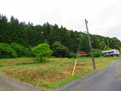 IMG_6006.2018.5.24.jpg