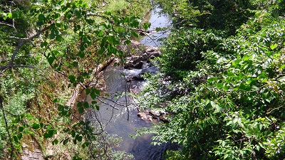 IMGA0197.2018.5.24.jpg