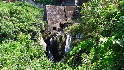 IMGA0200.2018.5.24.jpg